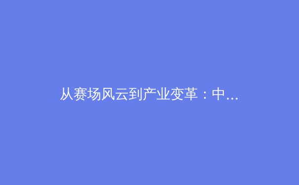 从赛场风云到产业变革：中国体育的多元价值与未来之路 - 4